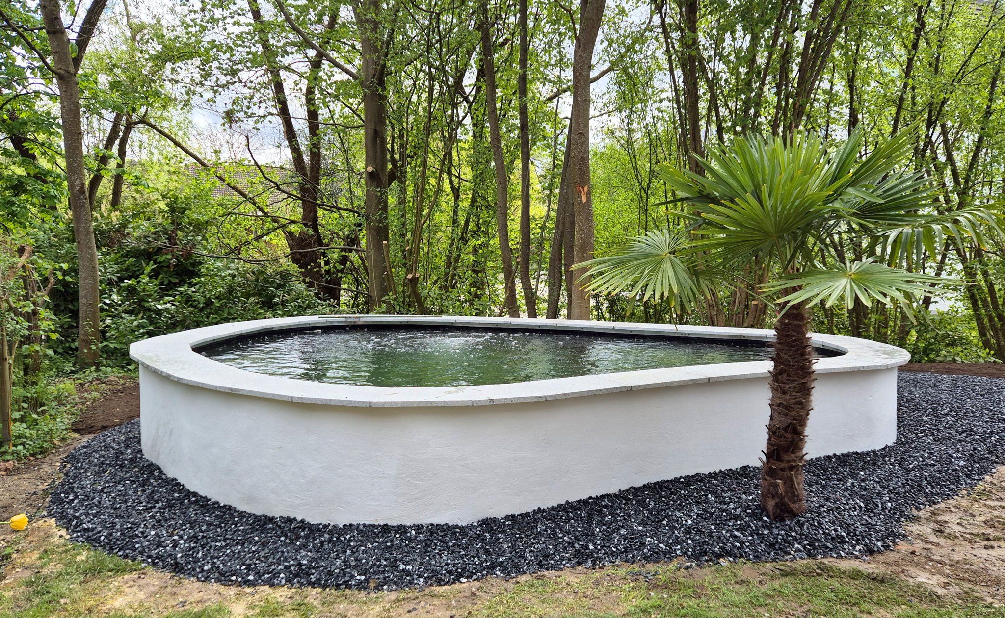 Runder Teich mit Palme zwischen Gartenbäumen