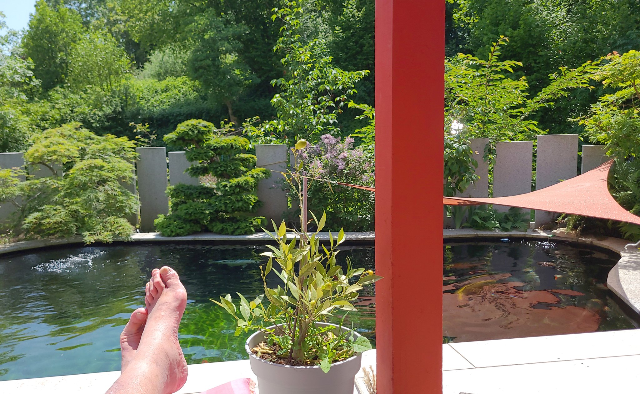 Torbogen und Teich im Sommer